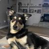Profile Picture of user9075518958539 (@carlagmom) on Tiktok
