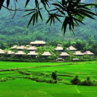 Profile Picture of Phạm Anh (@banggaubu2) on Tiktok