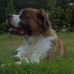 Profile Picture of Sandy Tolbert (@sandy.tolbert.77) on Facebook