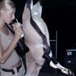 Profile Picture of Julia (@nordenthal) on Instagram