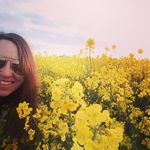 Profile Picture of knippelkim (@knippelkim) on Instagram