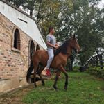 Profile Picture of Daniel Barriga (@_danielbarriga) on Instagram