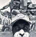 Profile Picture of Thomas Cammack (@Thomas-Cammack) on Facebook