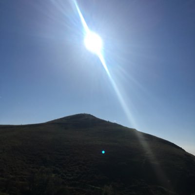 Profile Picture of Mark (@Gal84) on Twitter