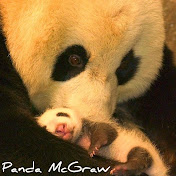 Profile Picture of Amanda Mcgraw (@amandamcgraw482) on Youtube