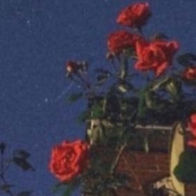 Profile Picture of Zakiyyah Mohamed (@ZakiyyahMohamed) on Twitter