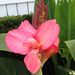 Profile Picture of Terry Wipf (@twipf1) on Pinterest