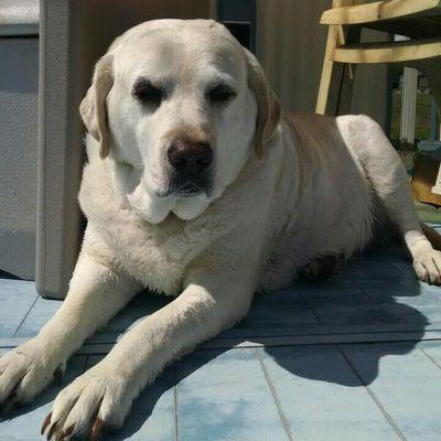 Profile Picture of Patti Andrews (@12paa12) on Twitter