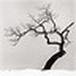 Profile Picture of Calvin Hwang (@calvin's internet tenacity) on Flickr