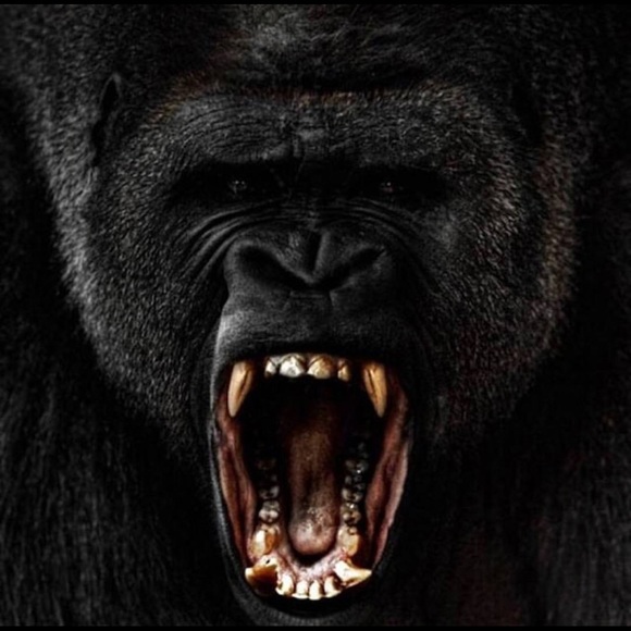 Profile Picture of Troy Osborne (@rolltide74) on Poshmark