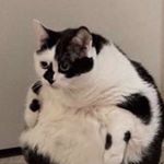 Profile Picture of Madelyn Moore (@madd.las_art) on Instagram