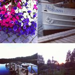 Profile Picture of Sharon Crawford (@nullervi) on Instagram