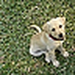 Profile Picture of Scott_ras (@scott_ras) on Flickr