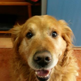 Profile Picture of Robert Saa Comez (@robert.saacomez) on Facebook