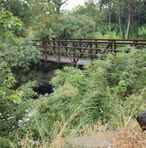 Profile Picture of Michael Kingrey (@Michael-Kingrey) on Facebook