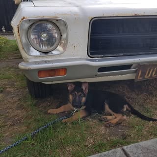 Profile Picture of David Petrie (@david_petrie) on Instagram