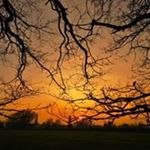 Profile Picture of Chad McGhee (@mcghee5813) on Instagram