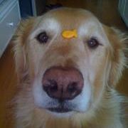 Profile Picture of Johnette Pfingsten (@jrpfingsten) on Pinterest