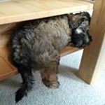 Profile Picture of Benjamin Jörgensen (@benjamin_joergensen2003) on Instagram