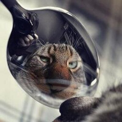 Profile Picture of Ira Mackenzie-Hanson (@IraTweetMeister) on Twitter