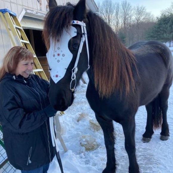 Profile Picture of Holly Zimber (@hjzimber) on Poshmark