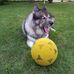 Profile Picture of Bernard Schriber (@bernard.schriber) on Facebook