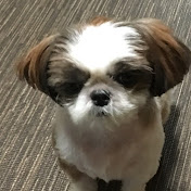 Profile Picture of Uryan Lumaban (@uryanlumaban1270) on Youtube