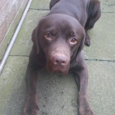 Profile Picture of Nicholas Jenkins (@jenkinsnicolas) on Twitter