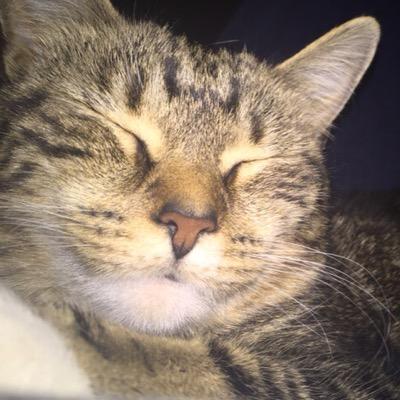 Profile Picture of Zoey Sutherland (@FweeZoey) on Twitter