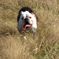 Profile Picture of Brad Koons (@brad-koons-1) on Quora