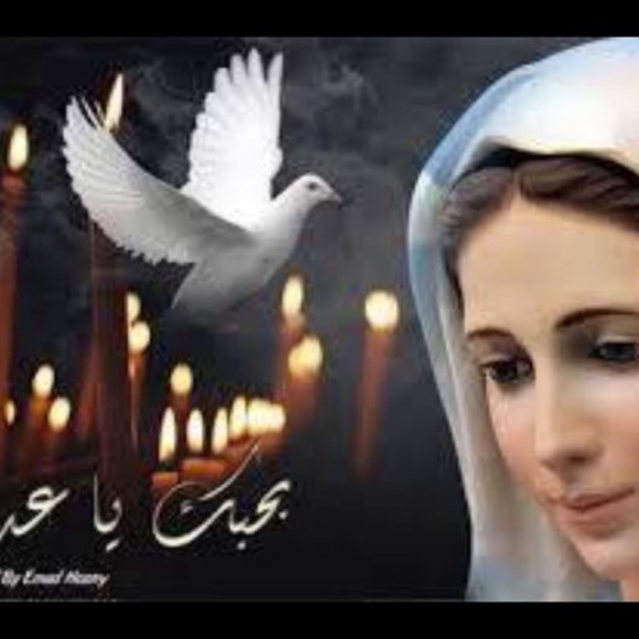 Profile Picture of Maria Eltom (@mariaeltom) on Poshmark