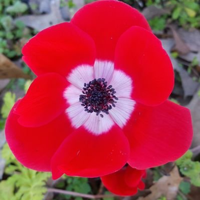 Profile Picture of Tammy Dailey (@Tammy214) on Twitter