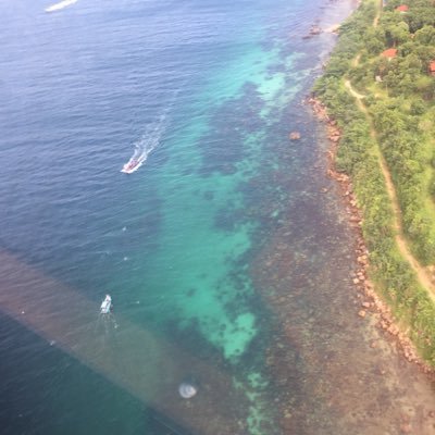 Profile Picture of Nông Dân Chăn Gái (@nngdnchngi1) on Twitter