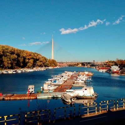 Profile Picture of Daniela Pavlovic (@Daniela44045321) on Twitter