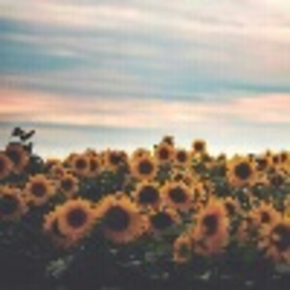 Profile Picture of Corinna Chiu (@corinnachiu) on Poshmark