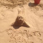 Profile Picture of Charles Seal (@charles.seal.5) on Instagram