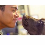Profile Picture of Josh Colley (@_joshcolley) on Instagram