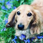 Profile Picture of Arthur T (@arthur.dragon12) on Instagram