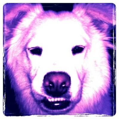 Profile Picture of Michael Godbe (@MichaelGodbe) on Twitter