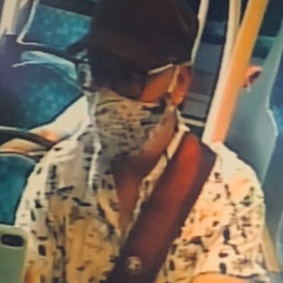 Profile Picture of Jim Friedman (@bogperson) on Twitter