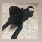 Profile Picture of Trey Andrews (@trey.andrews.5454) on Instagram