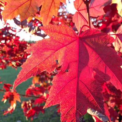 Profile Picture of Rusty Powers (@RustyPowers2) on Twitter