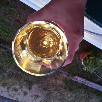 Profile Picture of Jeremy Milam (@wholeninetoes) on Twitter