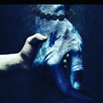 Profile Picture of Санджай Бхатт (@sanjay_bhatt456) on Instagram