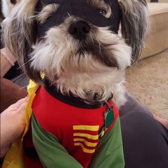 Jim Gallagher - Poshmark Profile Picture of Jim Gallagher (@cardshack) on Poshmark