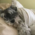 Profile Picture of Kim Steeves Silliker (@kimsteevessilliker) on Instagram