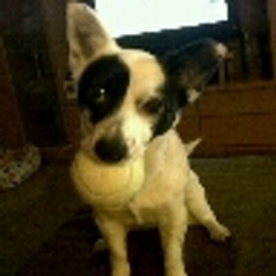 Profile Picture of Silverio Garcia (@SilverioGarcia4) on Twitter