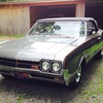 Profile Picture of Gary Marsden (@dogsrunfree.gmars) on Instagram