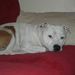 Profile Picture of Jonathan Willetts (@jonowilletts) on Pinterest