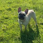 Profile Picture of gemma amy putt (@gemma_walter) on Instagram